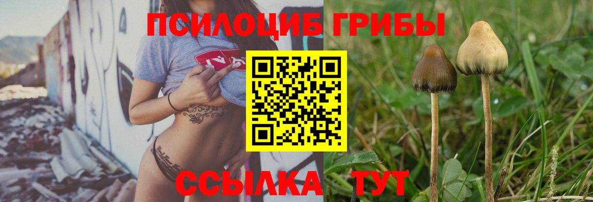 Псилоцибиновые грибы мухоморы  Вход с VPN  Павлово 